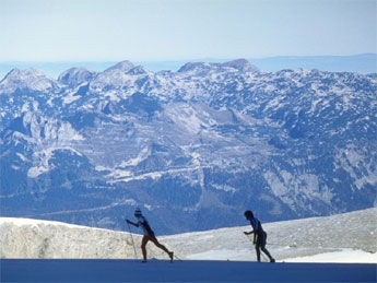 Bohinj, Vogel